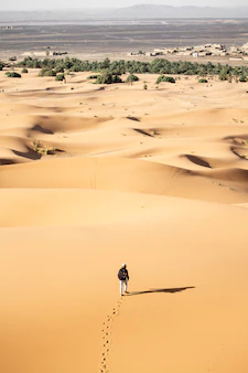 ما هي اطول الاودية في المملكة العربية السعودية؟ تعرف عليها